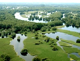 Kopacevo, terra di acqua e vegetazione