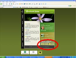 Il sito WebGIS