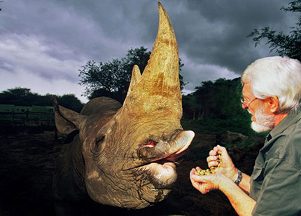 Rinoceronti Clive Walker con un rinoceronte nero