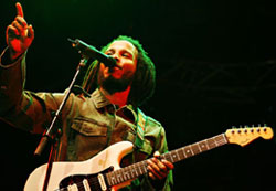 Ziggy (Photo: Marley Mikaela Frie, mtw)