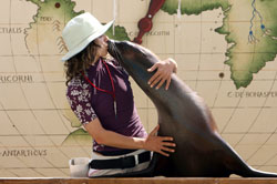 Concertone al parco acquatico