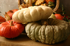 Fine settimana ghiotto in Emilia Romagna 3 Fine settimana ghiotto in Emilia Romagna