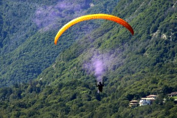 Acroaria parapendio