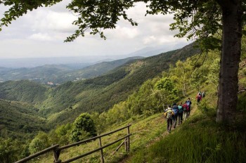 Cammino di Oropa