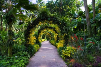 Singapore-Botanic-Gardens-2
