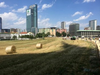 Wheatfield_campo_di_grano