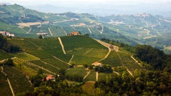 monferrato veduta colline