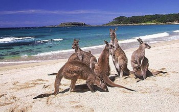 Kangaroo Island