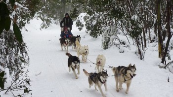 Australia-mt-baw-baw