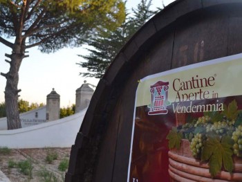 Puglia cantine Aperte Vendemmia