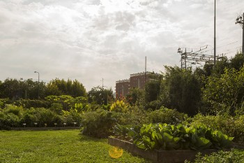 Al via Green Milano City 2 Green-Milano-City_Città
