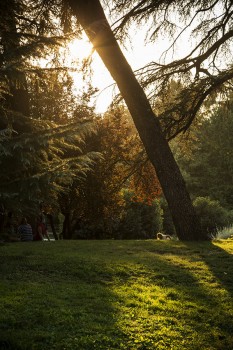 Green-Milano-City_Parco