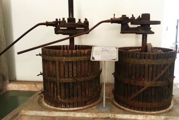 Premio-Negroamaro---Torchio