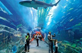 dubai-acquario