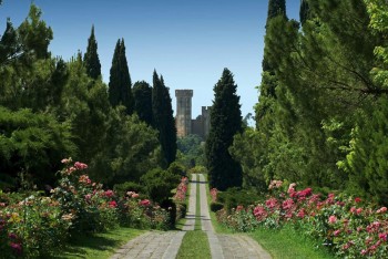 Viale delle Rose, Parco Sigurtà