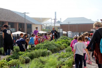 Expo Cascina Triulza 4