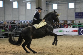 Verona_Fiera-cavalli_cavallerizze