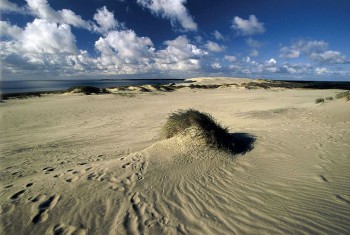 Lituania_penisola-di-Neringa