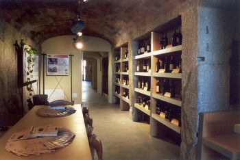 Museo-della-vite-e-del-vino