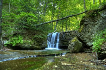 Trekking_riserva-badia-prataglia