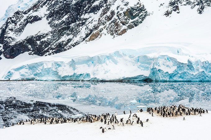 paesi-poco-visitati_antarctica_penguins
