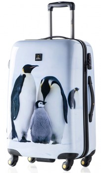 COMPAGNIA-DEL--VIAGGIO