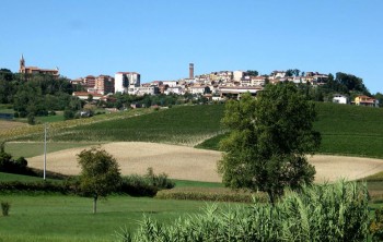 Bollito Moncalvo