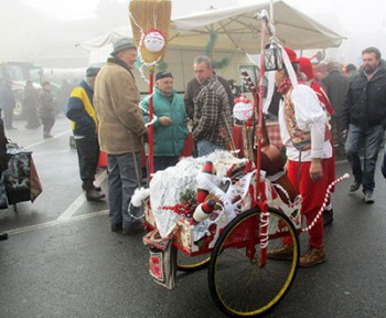 Bollito Moncalvo_bue_grasso2015-carretto_fiera