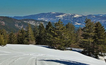 Parco-della-Sila-inverno