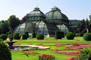 castello-schoenbrunn-serra-delle-palme