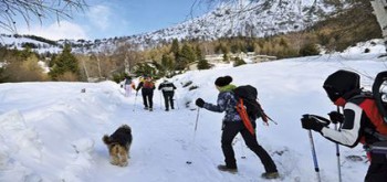 ciaspolata-sulle-tracce-del-lupo