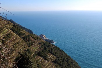 vigneti-e-Manarola_SentieroVolastra_Corniglia