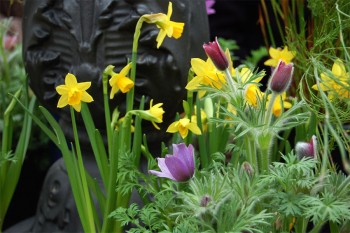 Giardini-d'Autore---Fiori