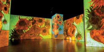 Van Gogh Alive, Girasoli