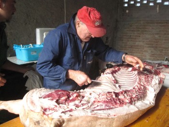 matanza lavoarzione maiale