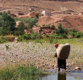 rosa Donna-trasporta-sacco-di-rose-marocco