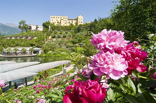 fioriture Giardino di Sissi Castel Trauttmansdorff