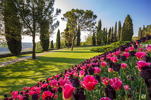 fioritura Parco Giardino Sigurtà