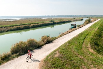 Primavera slow delta