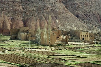 Rosa Valle del Dadès