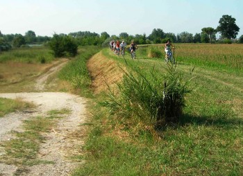 Lidi bici a ravenna