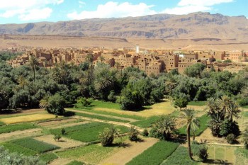 rosa marocco valle del dades