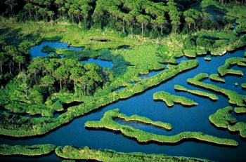 Parco delta del po, acqua