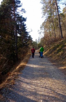 passeggino val di non