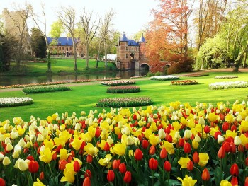 Gent e Bruxelles, viaggio sensoriale nelle Fiandre in fiore 2 Gent © Floralia Brussels (4)