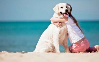 Barricata Holiday Village al mare con Fido