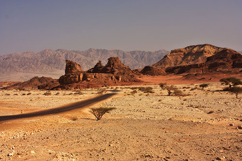 canyon Israele deserto del Negev