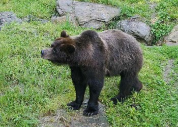 Parco delle Orobie valtellinesi