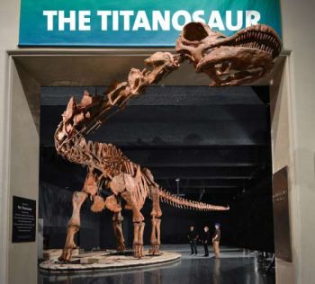 Titanosauro