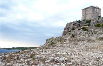 Torre dell'Alto, Porto Selvaggio